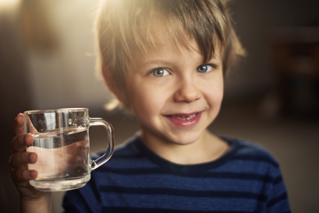 The Brain Survives on Water image