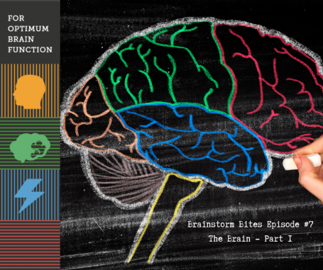 The Brain, Part 1 - Podcast 7 image