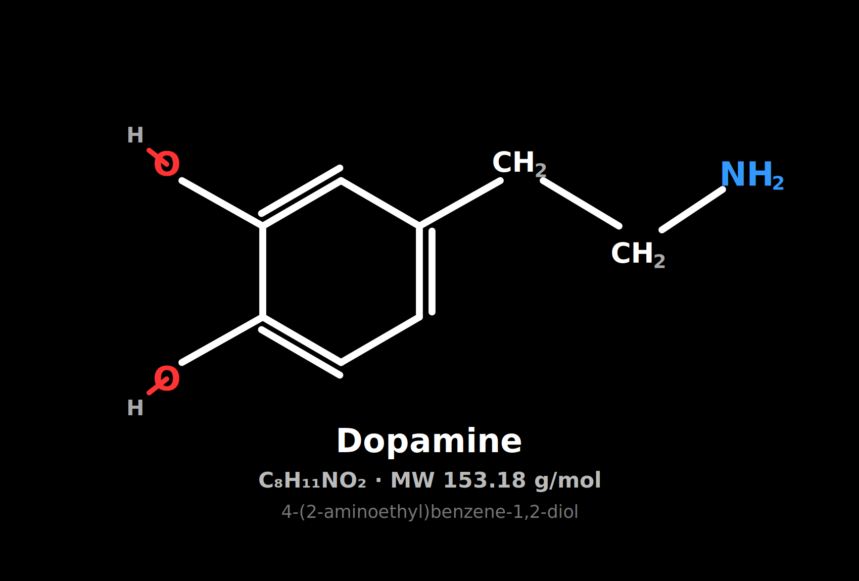 The Brain Chemical That Drives Recovery: What Dopamine Means for Your Health image