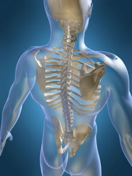 Your autonomic nervous system